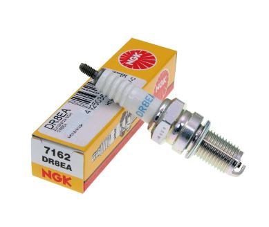 NGK DR8EA Buji