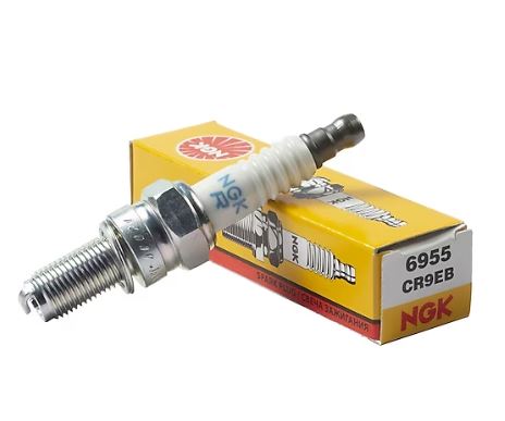 NGK CR9EB Buji