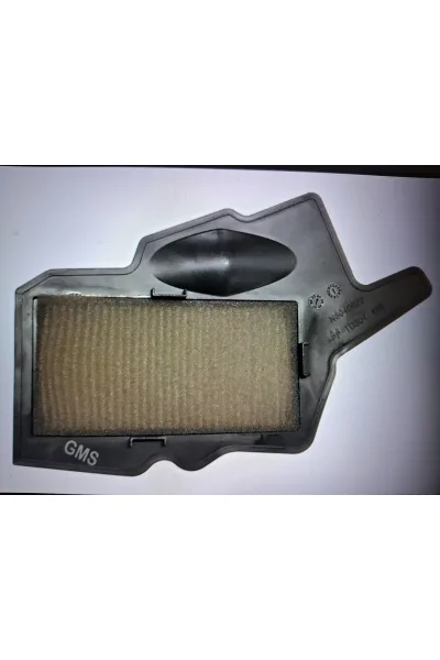 Hava Filtresi TVS Raider 125